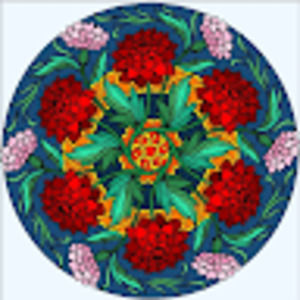 Meet your Posher, Hope